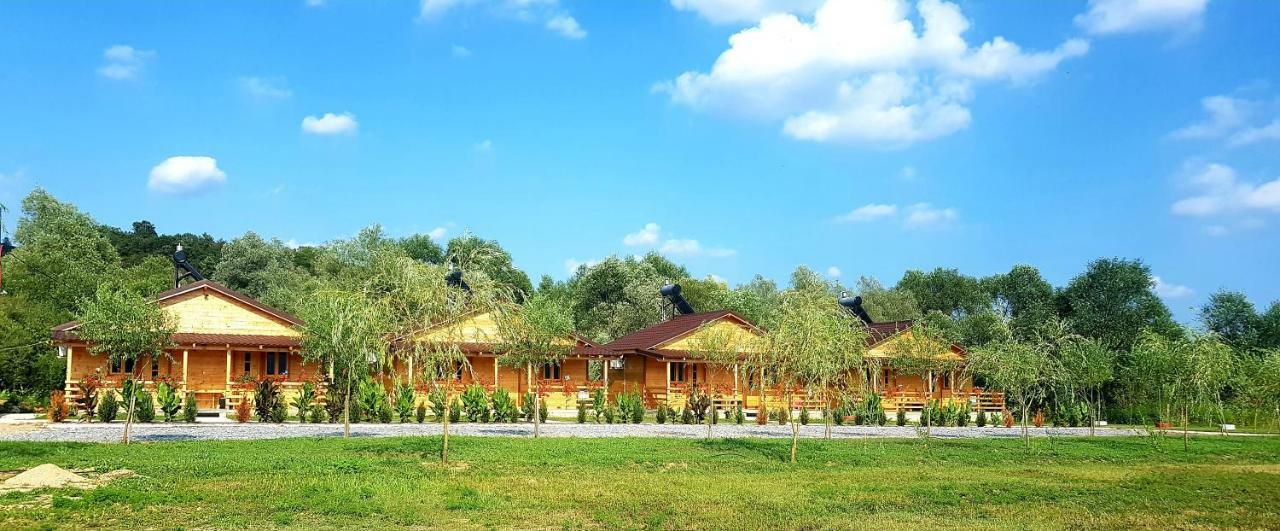 Hotel La Podul Gornii Gornea Exteriér fotografie
